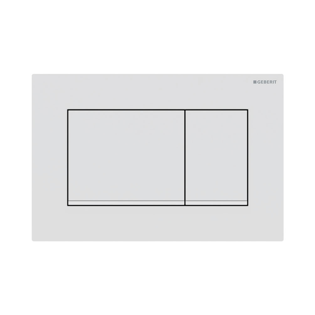 Cutout image of Geberit Sigma20 Matt White / White Dual Flush Plate